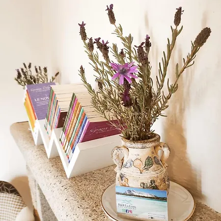 B&B Lu Lioni-2